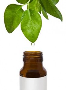 Натуральные моющие средства: масло чайного дерева
